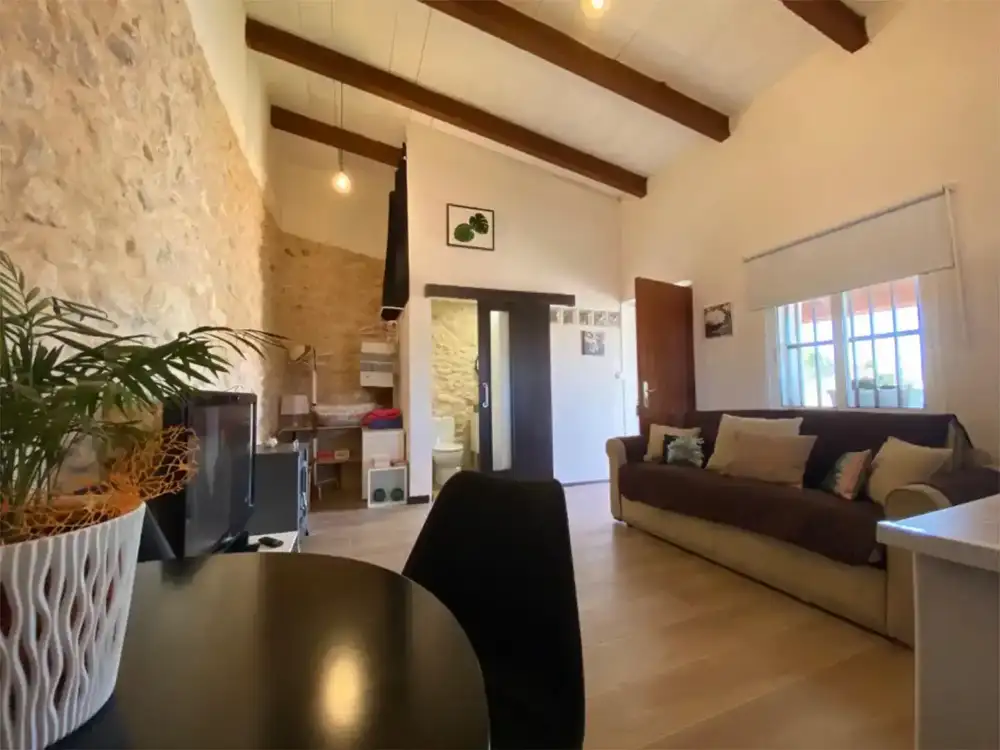 1-bedroom country house in Biar