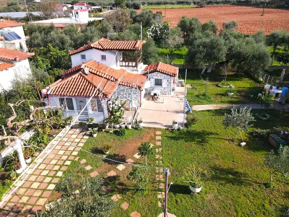Summer cottage on a 980 m² garden plot 2 km from the beach